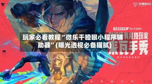 玩家必看教程“微乐干瞪眼小程序辅助器”(曝光透视必备猫腻)-第3张图片