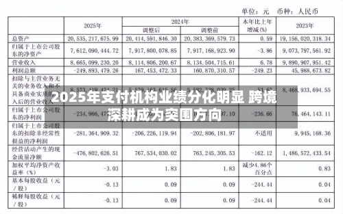 2025年支付机构业绩分化明显 跨境深耕成为突围方向
