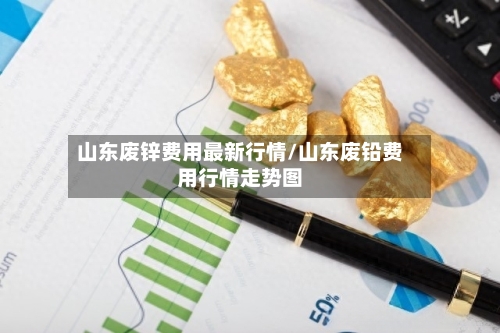 山东废锌费用最新行情/山东废铅费用行情走势图-第2张图片