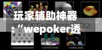 玩家辅助神器:“wepoker透视挂的优势	”详细分享装挂-第3张图片
