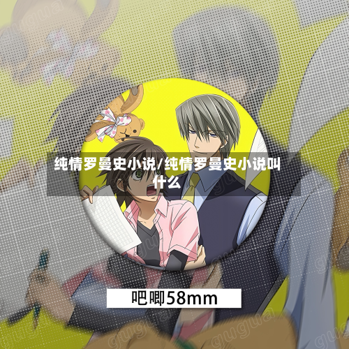 纯情罗曼史小说/纯情罗曼史小说叫什么