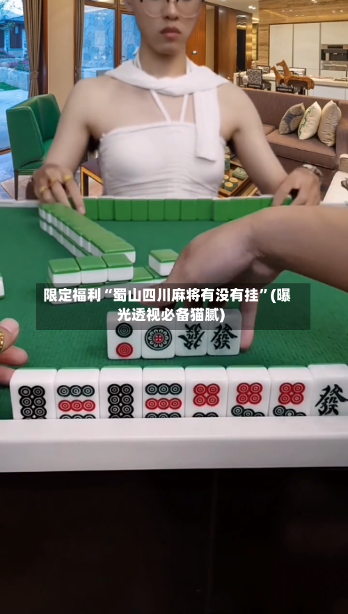 限定福利“蜀山四川麻将有没有挂”(曝光透视必备猫腻)