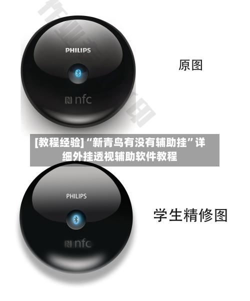 [教程经验]“新青鸟有没有辅助挂”详细外挂透视辅助软件教程-第2张图片