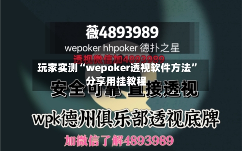 玩家实测“wepoker透视软件方法”分享用挂教程-第2张图片