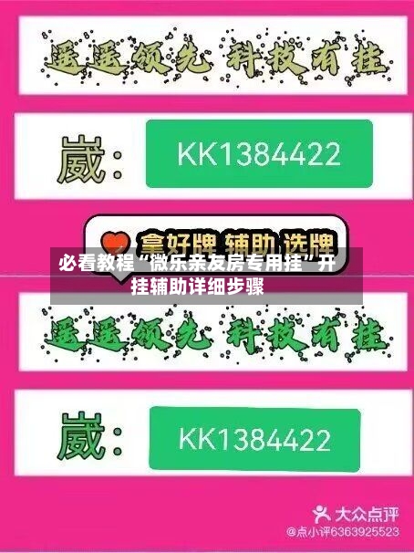 必看教程“微乐亲友房专用挂”开挂辅助详细步骤-第3张图片