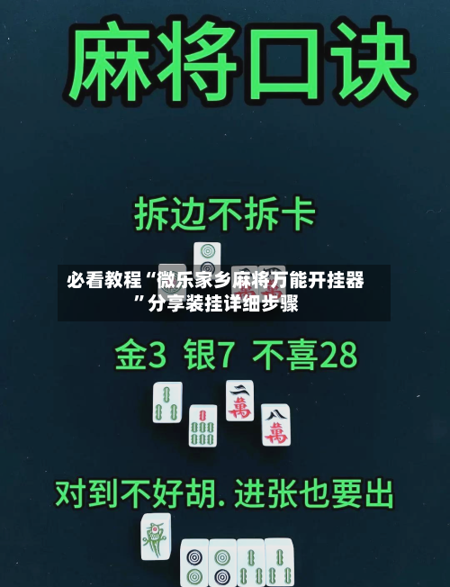 必看教程“微乐家乡麻将万能开挂器	”分享装挂详细步骤-第2张图片