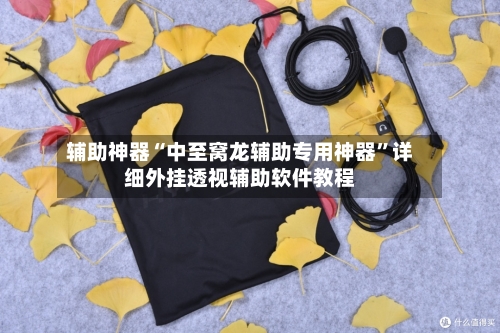 辅助神器“中至窝龙辅助专用神器”详细外挂透视辅助软件教程-第2张图片