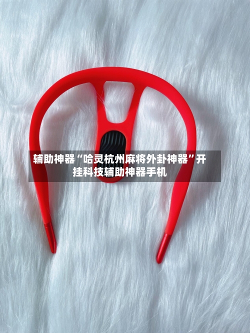 辅助神器“哈灵杭州麻将外卦神器”开挂科技辅助神器手机-第3张图片