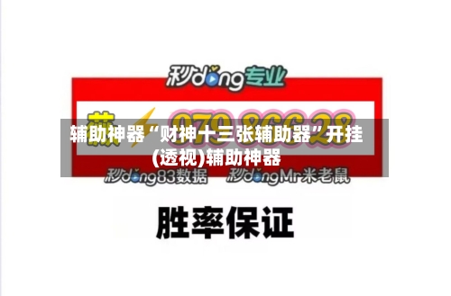 辅助神器“财神十三张辅助器	”开挂(透视)辅助神器-第2张图片