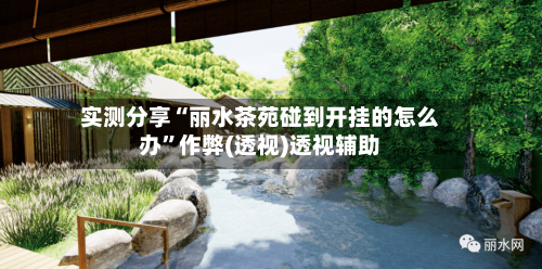 实测分享“丽水茶苑碰到开挂的怎么办”作弊(透视)透视辅助-第3张图片