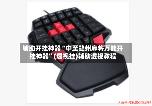 辅助开挂神器“中至赣州麻将万能开挂神器”(透视挂)辅助透视教程-第2张图片