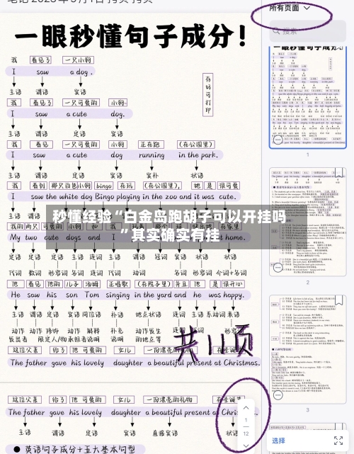 秒懂经验“白金岛跑胡子可以开挂吗”其实确实有挂-第2张图片