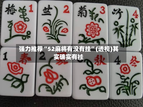 强力推荐“52麻将有没有挂	”(透视)其实确实有挂-第2张图片