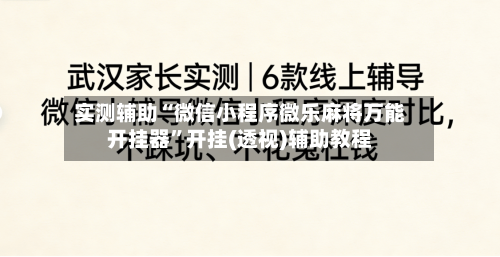 实测辅助“微信小程序微乐麻将万能开挂器”开挂(透视)辅助教程-第3张图片