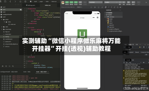 实测辅助“微信小程序微乐麻将万能开挂器”开挂(透视)辅助教程-第2张图片