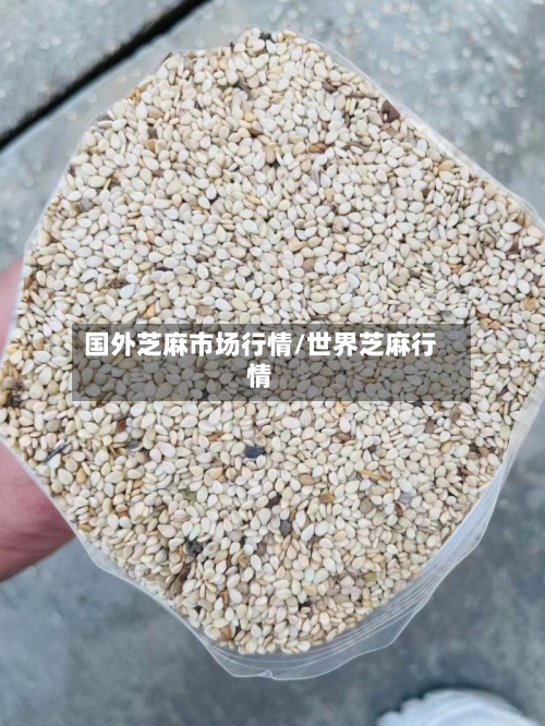 国外芝麻市场行情/世界芝麻行情