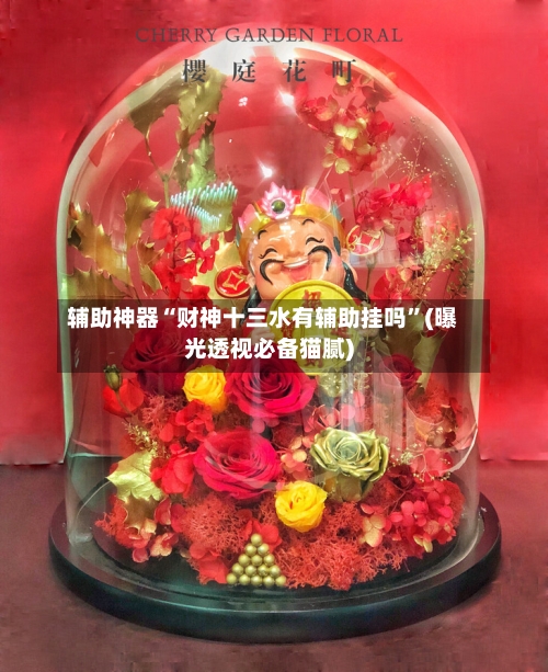 辅助神器“财神十三水有辅助挂吗”(曝光透视必备猫腻)-第3张图片