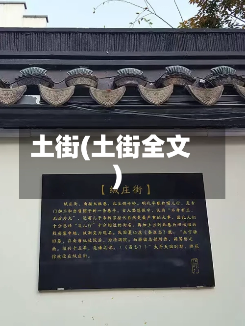 土街(土街全文)-第2张图片