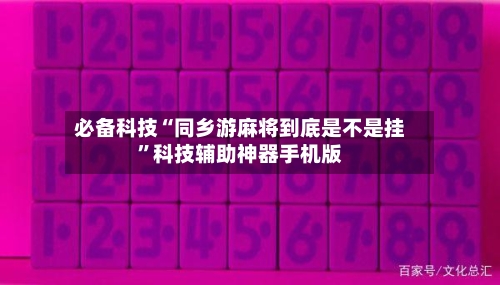 必备科技“同乡游麻将到底是不是挂”科技辅助神器手机版-第3张图片
