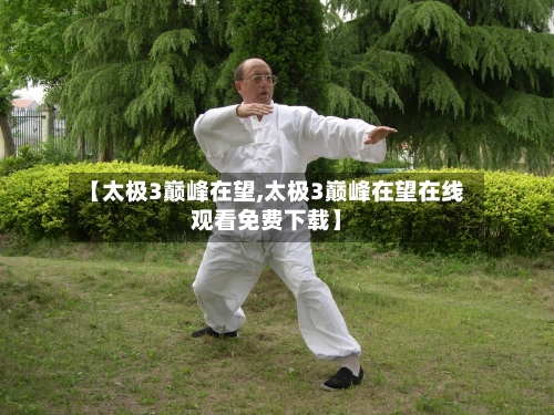 【太极3巅峰在望,太极3巅峰在望在线观看免费下载】-第2张图片