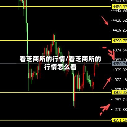 看芝商所的行情/看芝商所的行情怎么看-第2张图片
