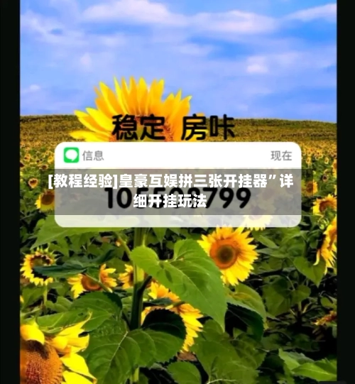 [教程经验]皇豪互娱拼三张开挂器”详细开挂玩法-第2张图片