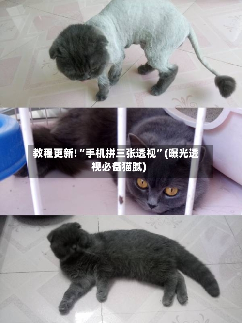 教程更新!“手机拼三张透视”(曝光透视必备猫腻)-第2张图片