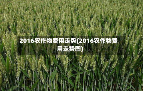 2016农作物费用走势(2016农作物费用走势图)