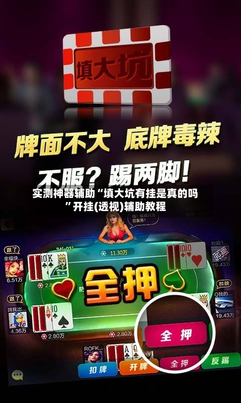 实测神器辅助“填大坑有挂是真的吗”开挂(透视)辅助教程-第3张图片