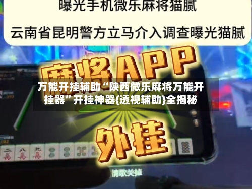 万能开挂辅助“陕西微乐麻将万能开挂器”开挂神器{透视辅助}全揭秘-第2张图片
