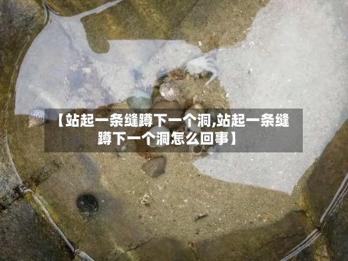 【站起一条缝蹲下一个洞,站起一条缝蹲下一个洞怎么回事】-第3张图片