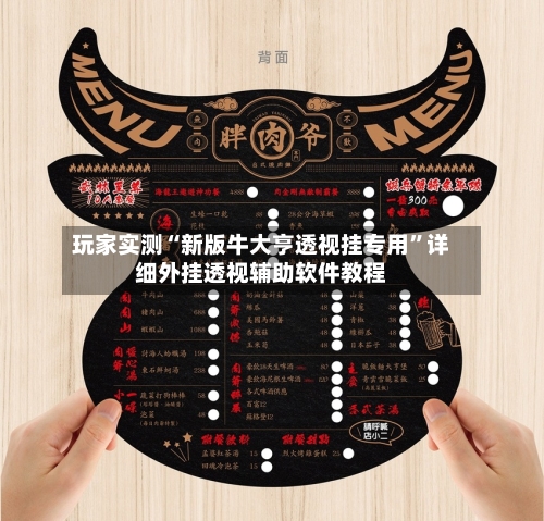 玩家实测“新版牛大亨透视挂专用”详细外挂透视辅助软件教程-第3张图片