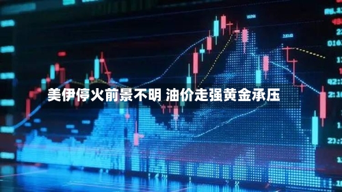 美伊停火前景不明 油价走强黄金承压-第2张图片