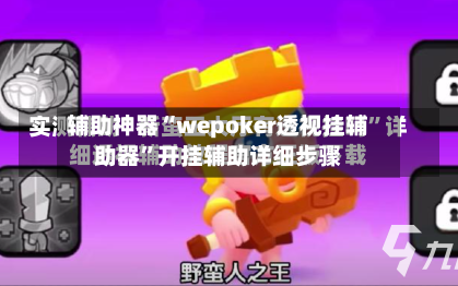 辅助神器“wepoker透视挂辅助器”开挂辅助详细步骤-第3张图片