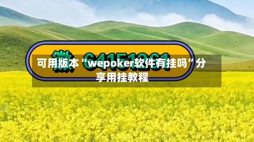 可用版本“wepoker软件有挂吗”分享用挂教程