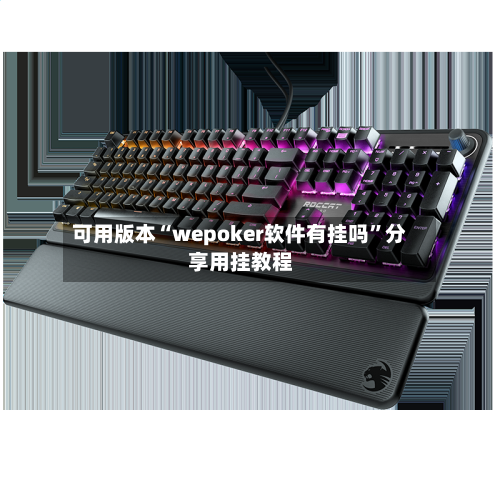 可用版本“wepoker软件有挂吗”分享用挂教程-第2张图片