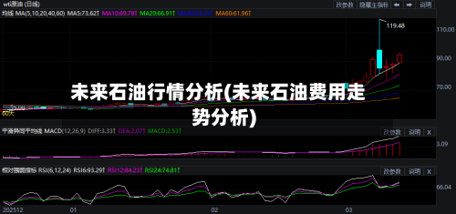 未来石油行情分析(未来石油费用走势分析)-第2张图片