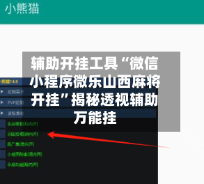 辅助开挂工具“微信小程序微乐山西麻将开挂”揭秘透视辅助万能挂-第3张图片