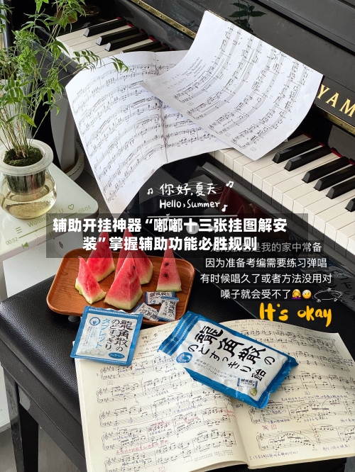 辅助开挂神器“嘟嘟十三张挂图解安装”掌握辅助功能必胜规则-第2张图片