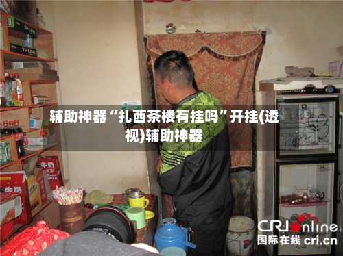 辅助神器“扎西茶楼有挂吗	”开挂(透视)辅助神器-第3张图片