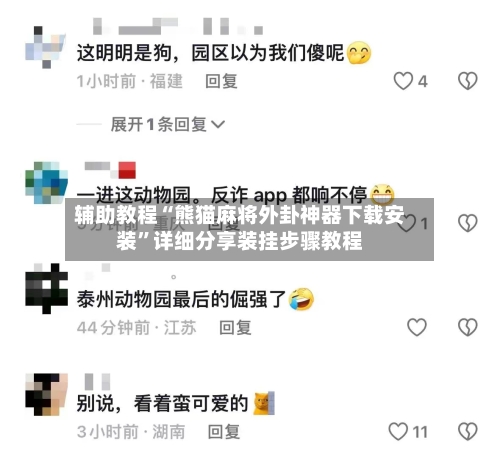 辅助教程“熊猫麻将外卦神器下载安装”详细分享装挂步骤教程-第2张图片