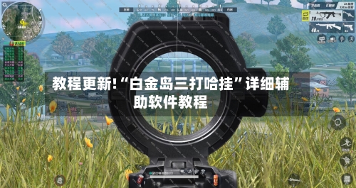教程更新!“白金岛三打哈挂”详细辅助软件教程