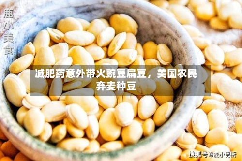 减肥药意外带火豌豆扁豆	，美国农民弃麦种豆-第2张图片