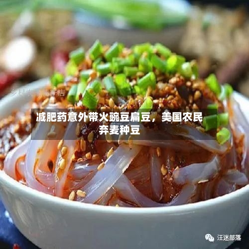 减肥药意外带火豌豆扁豆，美国农民弃麦种豆-第3张图片