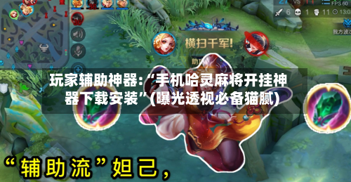 玩家辅助神器:“手机哈灵麻将开挂神器下载安装”(曝光透视必备猫腻)-第3张图片