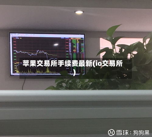 苹果交易所手续费最新(io交易所)