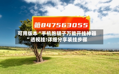 可用版本“手机跑胡子万能开挂神器”透视挂!详细分享装挂步骤