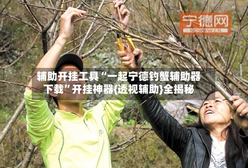 辅助开挂工具“一起宁德钓蟹辅助器下载	”开挂神器{透视辅助}全揭秘-第2张图片