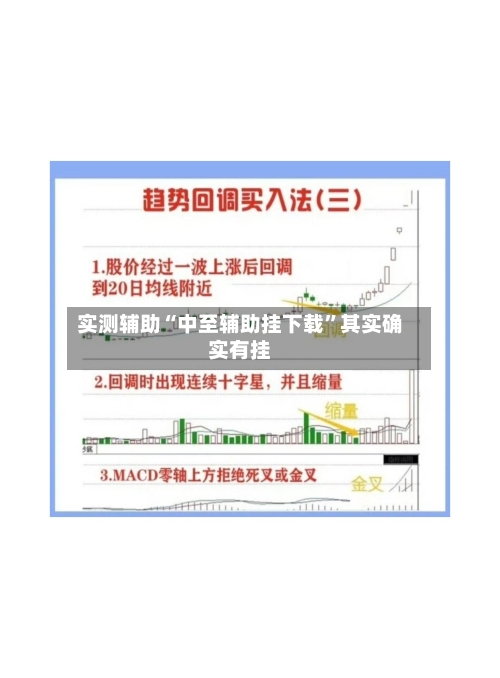 实测辅助“中至辅助挂下载”其实确实有挂-第3张图片