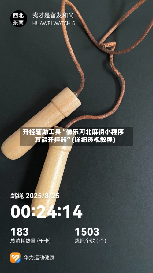 开挂辅助工具“微乐河北麻将小程序万能开挂器”(详细透视教程)-第2张图片